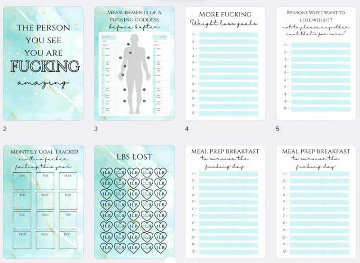 A5 comedy Weight loss planner
