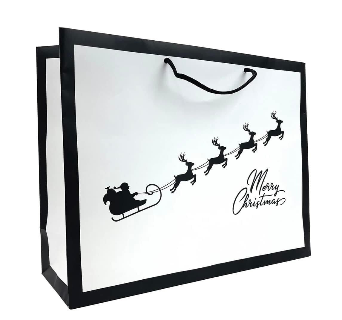 Christmas - Santa's sleigh gift bags (Pack of 10)