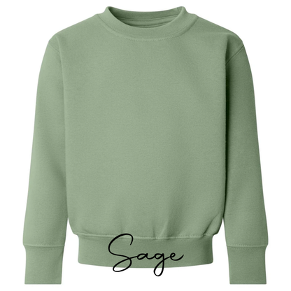 Big Brother Sweatshirt Est 2027 | Embroidered Sibling Jumper