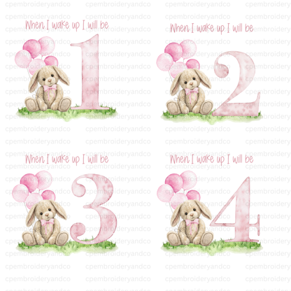 Pink & white when I Wake up Bunny  pyjamas