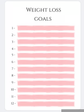 A5 comedy Weight loss planner